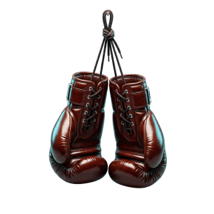 3D rendered boxing gloves icon representing combat sports weight class management