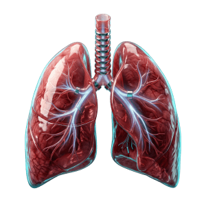 3D icon of human lungs with airflow streams representing the breathing analysis during an ECAL metabolic test