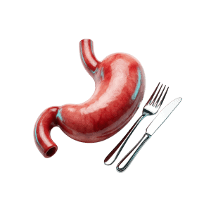 Food and fluid intake affects InBody 970 scan accuracy